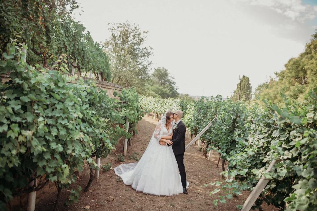 Evgeny & Tatiana — A wedding in the vineyard photo 11