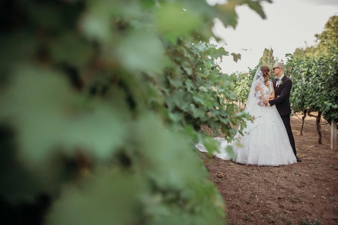 Evgeny & Tatiana — A wedding in the vineyard photo 19