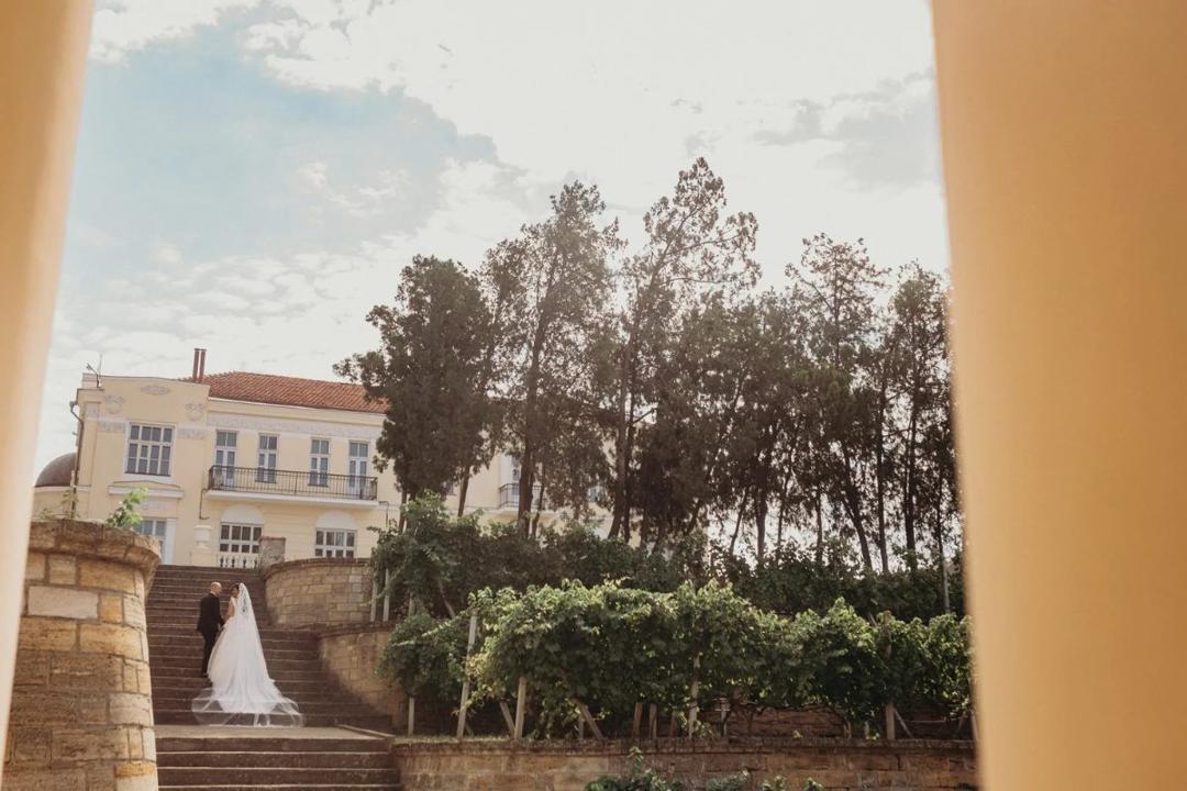 Evgeny & Tatiana — A wedding in the vineyard photo 20