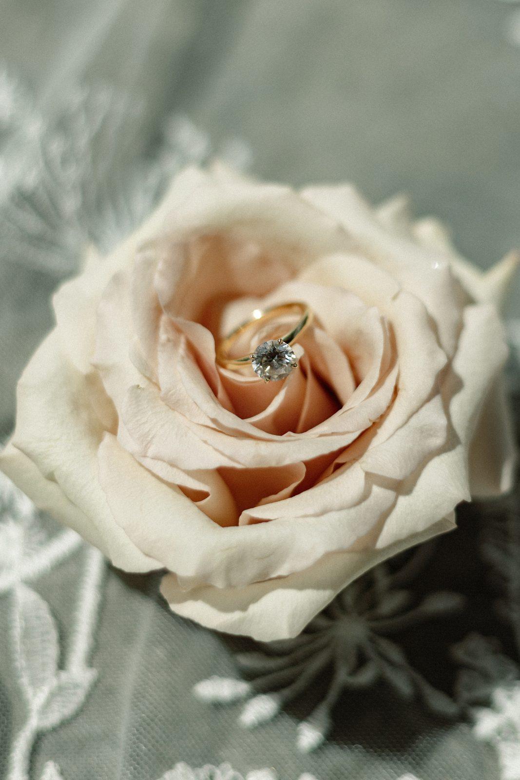 Katie & Mark — Greenhouse Two Rivers · Highlandville, MO photo 3