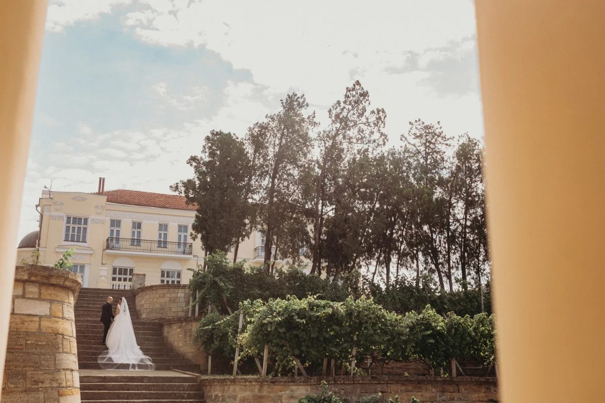 Evgeny & Tatiana — A wedding in the vineyard photo 20